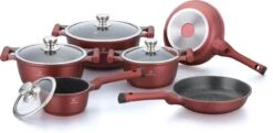 Herenthal Pannenset Inductie - Luxe 10-delige Koekenpan Inductie - Voor Alle Warmtebronnen - Pannen Met Glazen Deksels En Koudgrepen - Burgundy