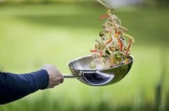 Demeyere Senses 5 RVS Wokpan - Inductie - 30 Cm – PTFE En PFAS Vrij 11 Demeyere Senses 5 RVS Wokpan - Inductie - 30 Cm – PTFE En PFAS Vrij -Kookgerei Korting Winkel 1200x786 3