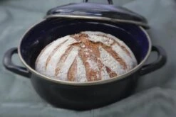 BK Fortalit Braadpan Ø 22 Cm / 2L - Emaille - Inductie 18 BK Fortalit Braadpan Ø 22 Cm / 2L - Emaille - Inductie -Kookgerei Korting Winkel 1200x800 213