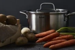 Tefal Virtuoso Kookpan - Ø 20 Cm 25 Tefal Virtuoso Kookpan - Ø 20 Cm -Kookgerei Korting Winkel 1200x800 240