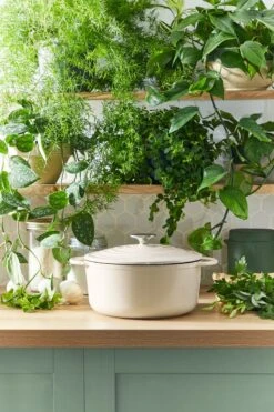 Tefal LOV Braadpan - 5L - Ø25 Cm - Beige 26 Tefal LOV Braadpan - 5L - Ø25 Cm - Beige -Kookgerei Korting Winkel 800x1200 27